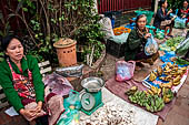 Luang Prabang, Laos - The day market.